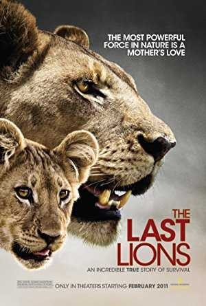 مشاهدة فيلم The Last Lions 2011 مترجم مشاهدة فيلم The Last Lions 2011 مترجم