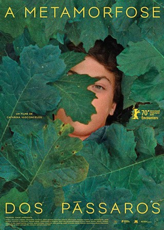 فيلم The Metamorphosis of Birds 2020 مترجم