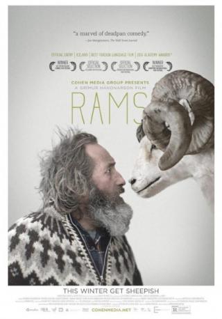 فيلم Rams 2015 مترجم فيلم Rams 2015 مترجم