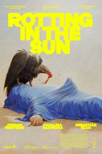 مشاهدة فيلم Rotting in the Sun 2023 مترجم مشاهدة فيلم Rotting in the Sun 2023 مترجم
